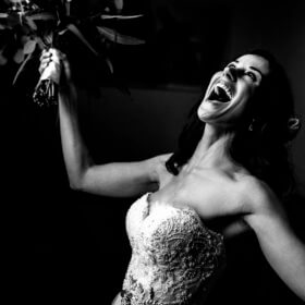 Cabo San Lucas Wedding Services