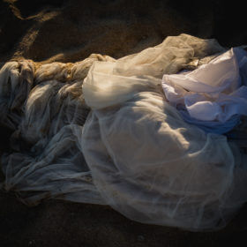 Cabo San Lucas Wedding Services