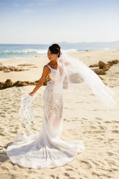 Cabo Wedding Planners