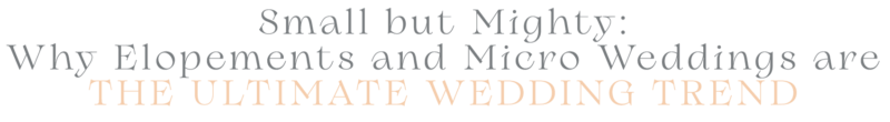 Micro Weddings are The Ultimate Wedding Trend